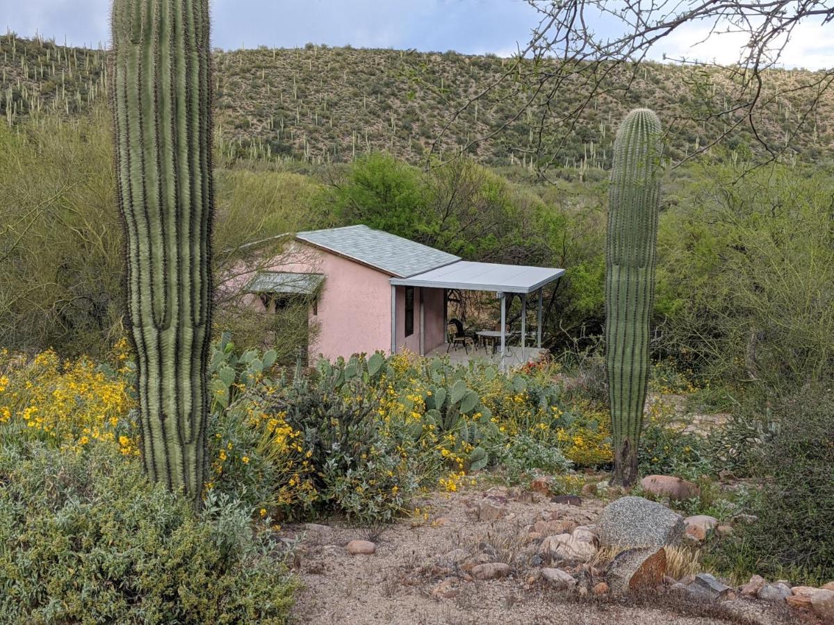 Saguaro Lake Ranch เฟาน์เทนฮิลส์ ภายนอก รูปภาพ