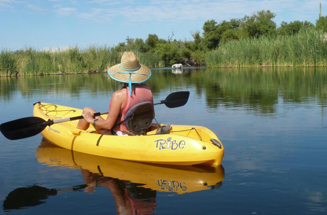 Saguaro Lake Ranch เฟาน์เทนฮิลส์ ภายนอก รูปภาพ