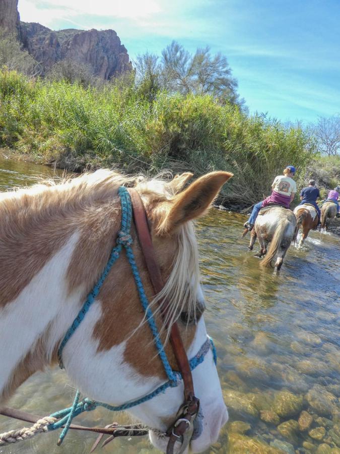 Saguaro Lake Ranch เฟาน์เทนฮิลส์ ภายนอก รูปภาพ